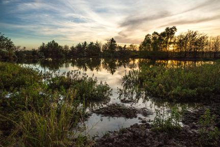 Farm and Ranch in Lamar County, Texas