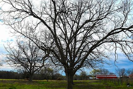 Farm and Ranch in Hopkins County, Texas