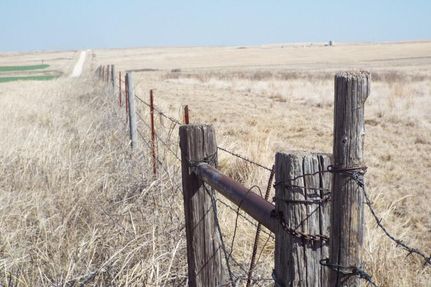 Farm and Ranch in Ellis County, Oklahoma