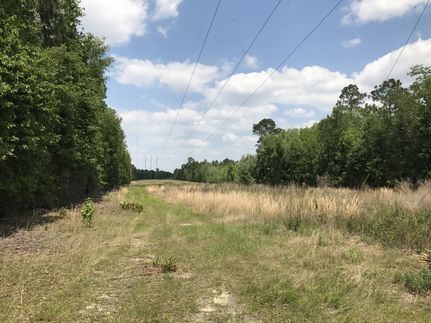 Farm and Ranch in Coffee County, Georgia