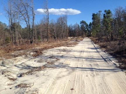 Commercial Property in Harnett County, North Carolina