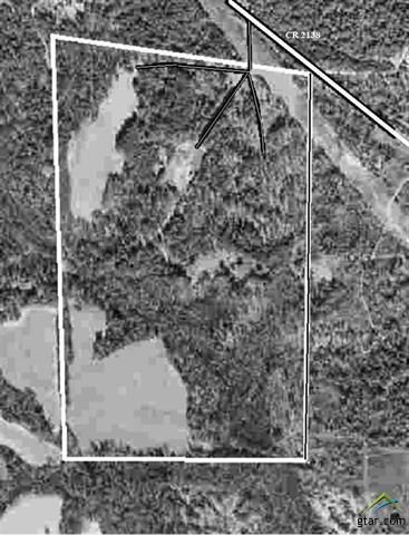 Timberland Property in Rusk County, Texas