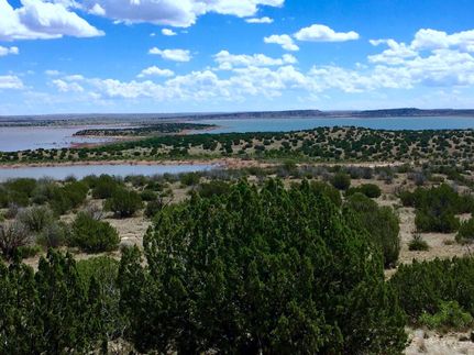 Riverfront Property in Guadalupe County, New Mexico