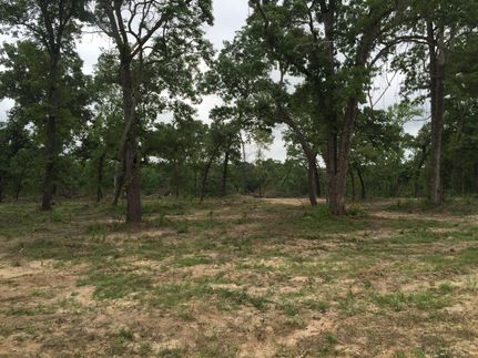 Recreational Property in Leon County, Texas