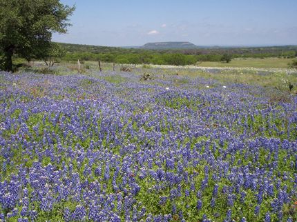 Farm and Ranch in Llano County, Texas