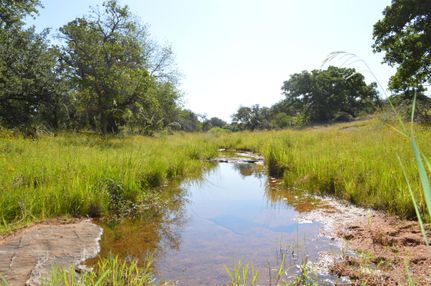 Farm and Ranch in Llano County, Texas