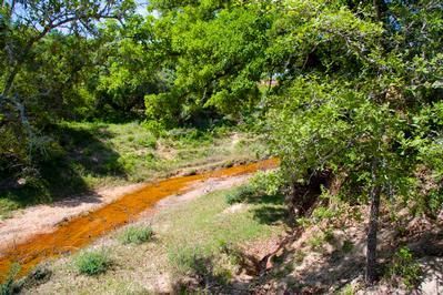 Undeveloped Land in Wilson County, Texas