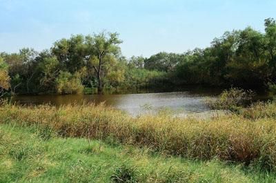 Farm and Ranch in Wilson County, Texas