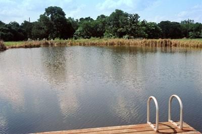 Farm and Ranch in Gonzales County, Texas