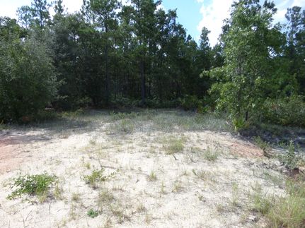 Land in Brantley County, Georgia