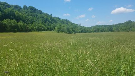 Undeveloped Land in Casey County, Kentucky