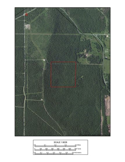 Timberland Property in Haskell County, Oklahoma