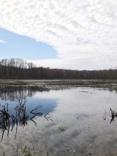 Farm and Ranch in Newaygo County, Michigan