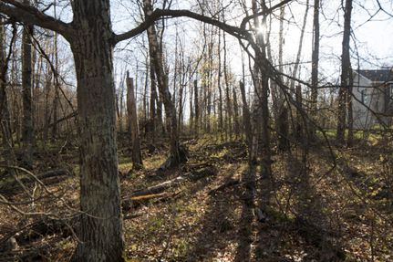 Land in Crow Wing County, Minnesota