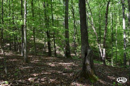 Land in Carroll County, Tennessee
