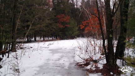 Land in Juneau County, Wisconsin