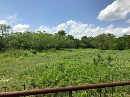 Timberland Property in Freestone County, Texas