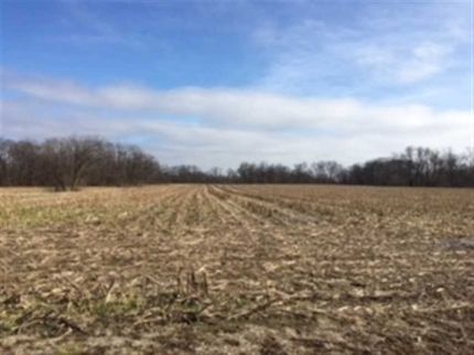 Undeveloped Land in Schuyler County, Illinois