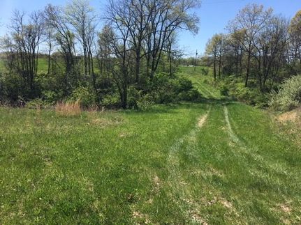 Undeveloped Land in McDonough County, Illinois