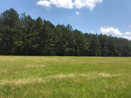 Recreational Property in Rankin County, Mississippi