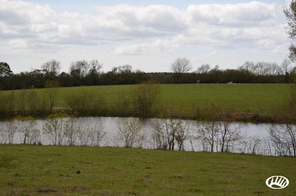 Farm and Ranch in Washington Parish, Louisiana