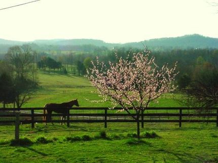 Farm and Ranch in Casey County, Kentucky