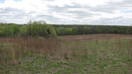 Land in Mercer County, Missouri
