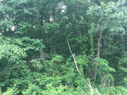 Land in Appanoose County, Iowa