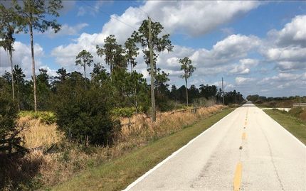 Hunting Property in Polk County, Florida