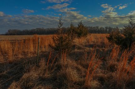 Undeveloped Land in Miami County, Kansas