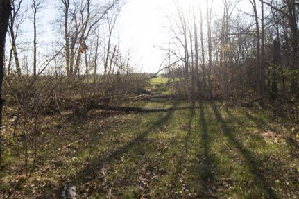 Undeveloped Land in Crow Wing County, Minnesota