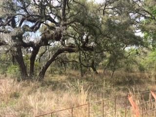 Undeveloped Land in Colorado County, Texas