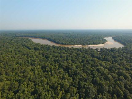 Lakefront Property in Appling County, Georgia