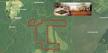 Undeveloped Land in Ashley County, Arkansas