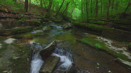 Farm and Ranch in Hardin County, Tennessee