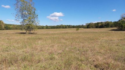 Farm and Ranch in Lowndes County, Alabama