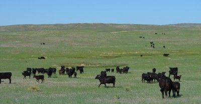 Land in Garden County, Nebraska