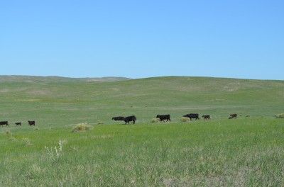 Farm and Ranch in Garden County, Nebraska