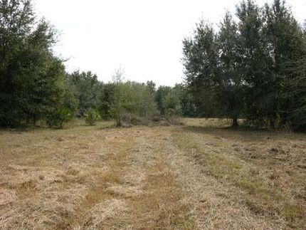 Farm and Ranch in DeSoto County, Florida