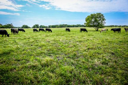 Recreational Property in Delta County, Texas