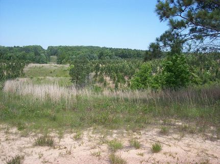 Land in Marion County, Alabama