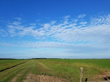 Timberland Property in Jefferson County, Texas