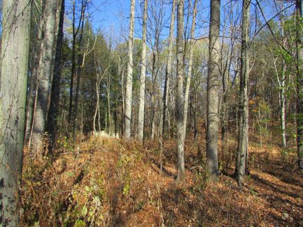 Land in Grundy County, Tennessee
