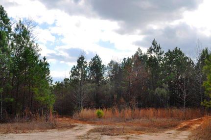Land in Oglethorpe County, Georgia