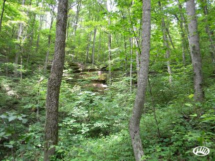 Farm and Ranch in Rockcastle County, Kentucky