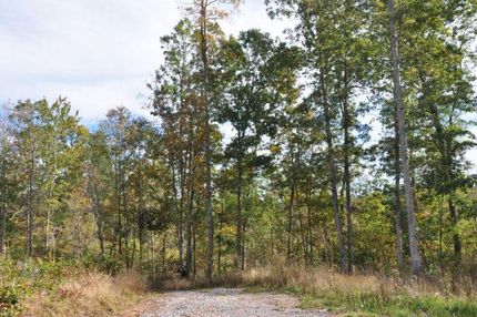 Timberland Property in Greenbrier County, West Virginia