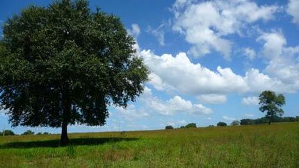 Land in Hillsborough County, Florida