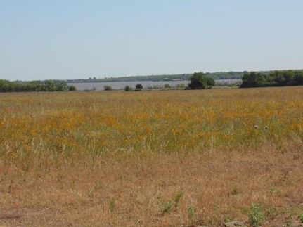 Farm and Ranch in Jones County, Texas