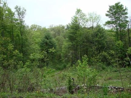 Land in Clinton County, Pennsylvania