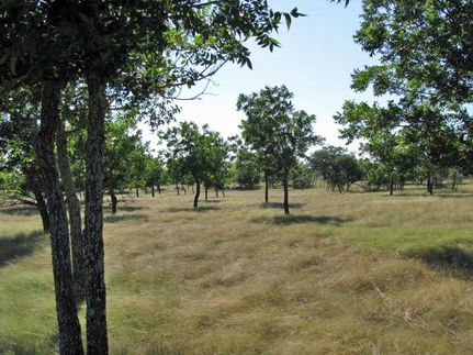 Farm and Ranch in Hamilton County, Texas